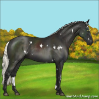 Horse Color:White Spotted Liver Chestnut Mushroom 