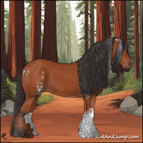 Horse Color:White Spotted Bay