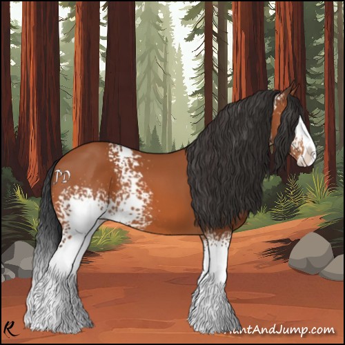 Horse Color:White Spotted Bay Splash