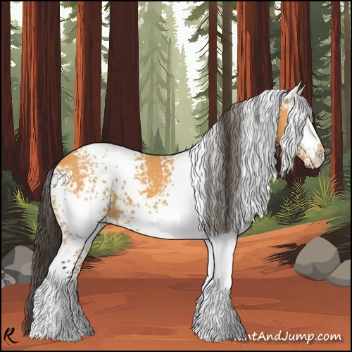 Horse Color:White Spotted Buckskin 