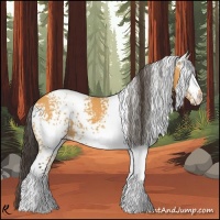 Horse Color:White Spotted Buckskin
