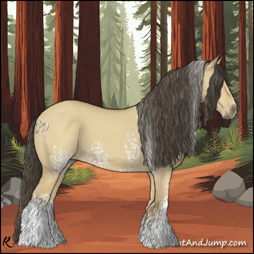 Horse Color:White Spotted Buckskin Dun 