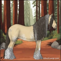 Horse Color:White Spotted Buckskin Dun