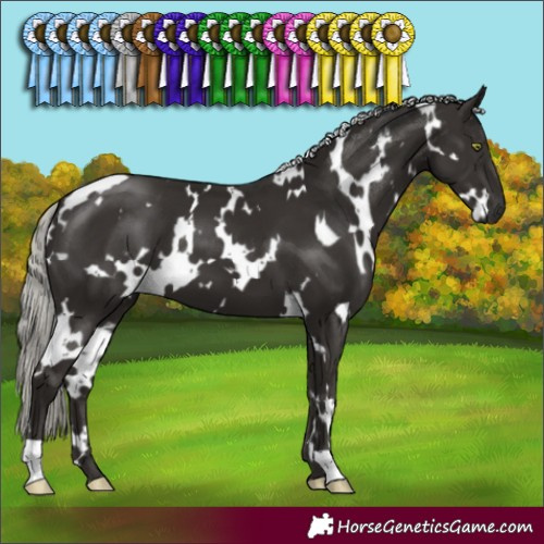 Horse Color:White Spotted Liver Chestnut Mushroom