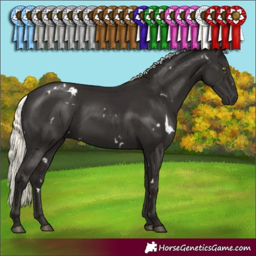 Horse Color:White Spotted Liver Chestnut Mushroom 