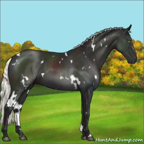 Horse Color:White Spotted Liver Chestnut Mushroom 