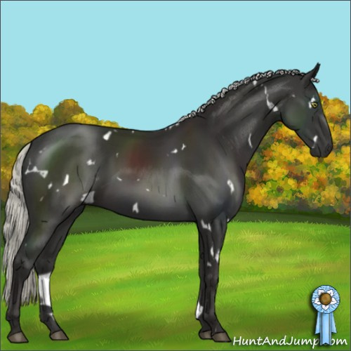 Horse Color:White Spotted Liver Chestnut Mushroom 