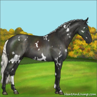 Horse Color:White Spotted Liver Chestnut Mushroom 