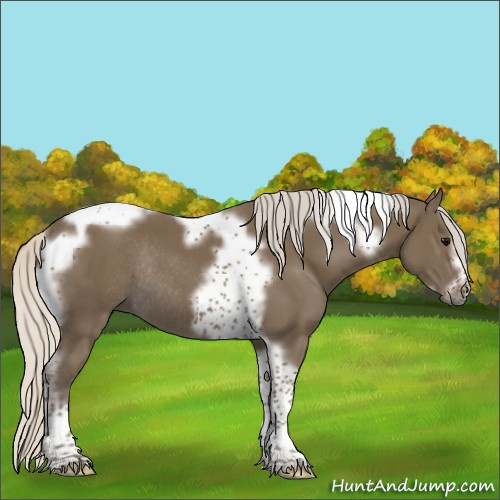 Horse Color:Silver Smoky Black Tobiano Frame Rabicano 