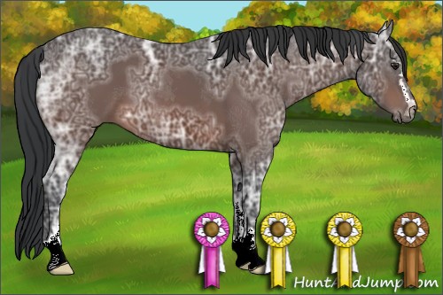 Horse Color:Brown Ice Sabino 