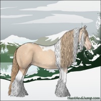 Horse Color:Gold Champagne Dun Tobiano 