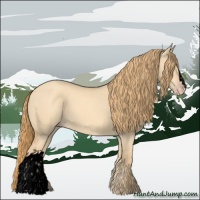 Horse Color:Void Gold Champagne Dun 
