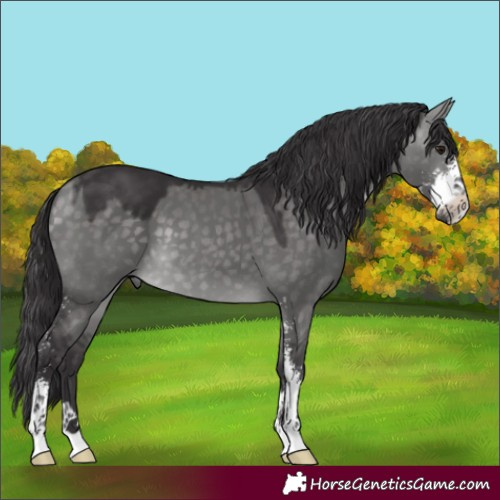 Horse Color:Platinum Buckskin Dun Sabino 
