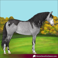 Horse Color:Platinum Buckskin Dun Sabino 