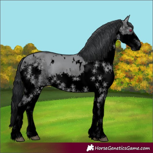 Horse Color:Void White Spotted Grullo Chinchilla Splash 