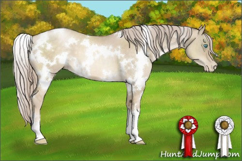 Horse Color:White Spotted Chocolate Palomino Pearl Dun 