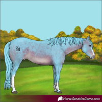 Horse Color:Watercolor White Spotted Brown Mushroom Varnish 