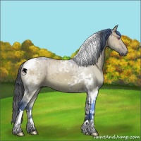 Horse Color:Bay Chinchilla Dun Tobiano Brindle 
