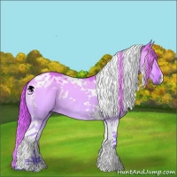 Horse Color:Red Dun Chinchilla Tobiano 