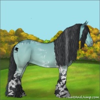 Horse Color:Bay Chinchilla Dun Tobiano 