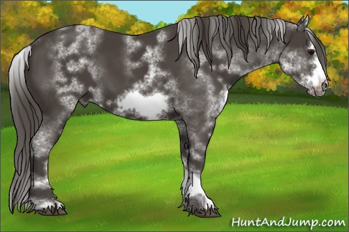 Horse Color:White Spotted Smoky Black Frame