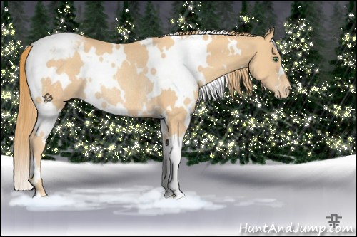Horse Color:White Spotted Gold Champagne Varnish Rabicano
