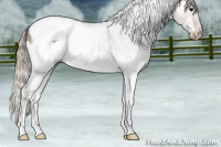 Horse Color:Silver Blue Roan Splash Tobiano 