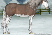 Horse Color:Silver Blue Roan Sabino Splash 