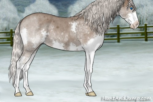 Horse Color:Silver Blue Roan Splash