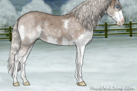 Horse Color:Silver Blue Roan Splash 