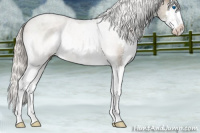 Horse Color:Silver Blue Roan Sabino Splash 