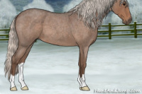 Horse Color:Silver Blue Roan 