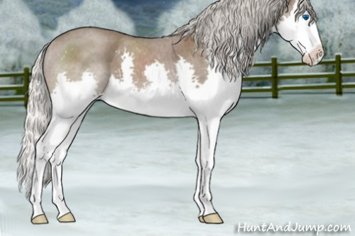 Horse Color:Silver Blue Roan Splash 