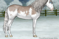 Horse Color:Silver Blue Roan Splash 