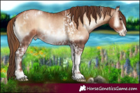 Horse Color:Red Onyx Pearl Tobiano and White Spotted Liver Red Onyx Pearl Frame