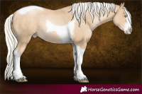 Horse Color:White Spotted Silver Smoky Black Pearl Mushroom Tobiano 