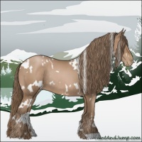 Horse Color:White Spotted Black Pearl Rabicano 