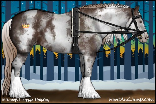 Horse Color:White Spotted Liver Chestnut Blanket