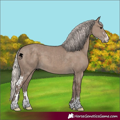 Horse Color:Silver Grullo Sabino 
