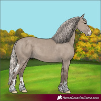 Horse Color:Silver Grullo Sabino 