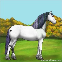 Horse Color:Painted Bay Chinchilla Dun Tobiano 