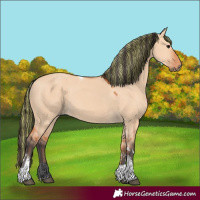 Horse Color:Painted Bay Dun Tobiano 