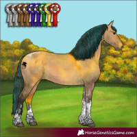 Horse Color:Painted Bay Dun Tobiano 