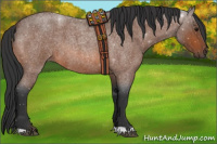 Horse Color:Bay Roan 