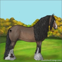 Horse Color:Brown Dun Sabino 