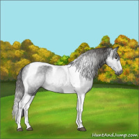 Horse Color:Gray Liver Chestnut Tobiano Varnish