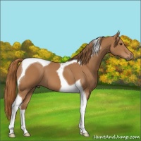 Horse Color:Chestnut Tobiano 