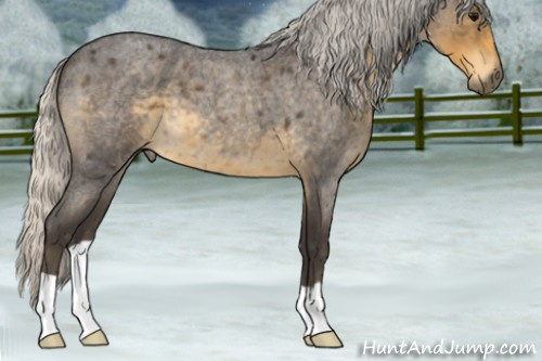 Horse Color:Silver Smoky Blue Roan 