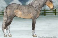 Horse Color:Silver Smoky Blue Roan 