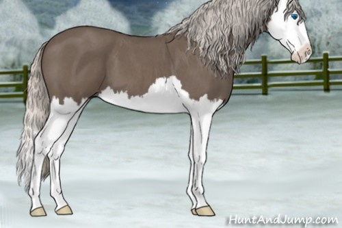 Horse Color:Silver Blue Roan Splash 